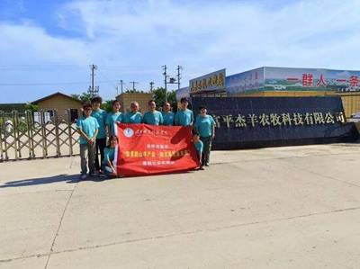 畜牧漁業(yè)飼料銷售 構(gòu)建高效、綠色與可持續(xù)的現(xiàn)代養(yǎng)殖基石